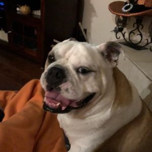 Meet your Posher, Christina